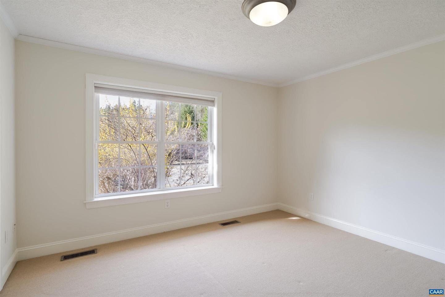 2508 Thomas Jefferson Pkwy photo 36