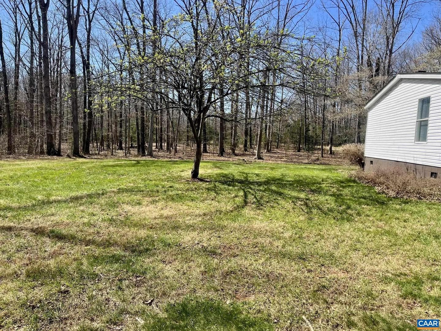289 Community House Rd photo 13