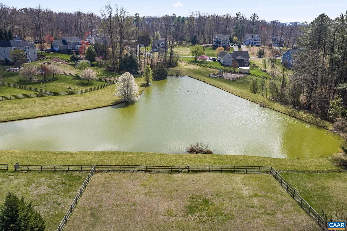 12 Longford Dr photo 4