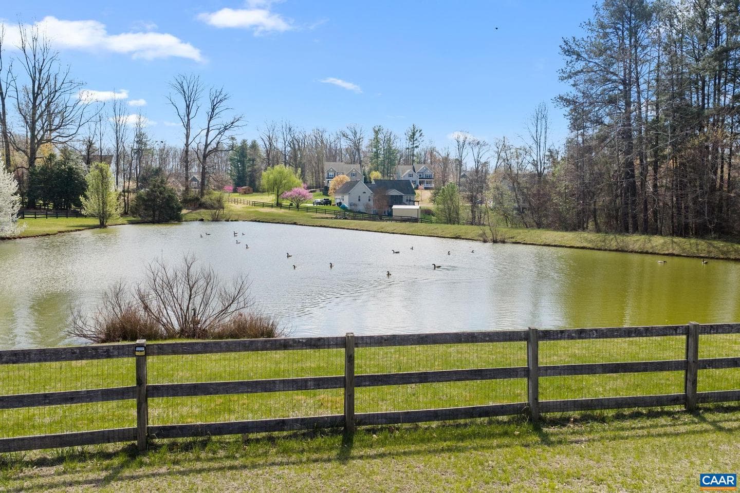 12 Longford Dr photo 5