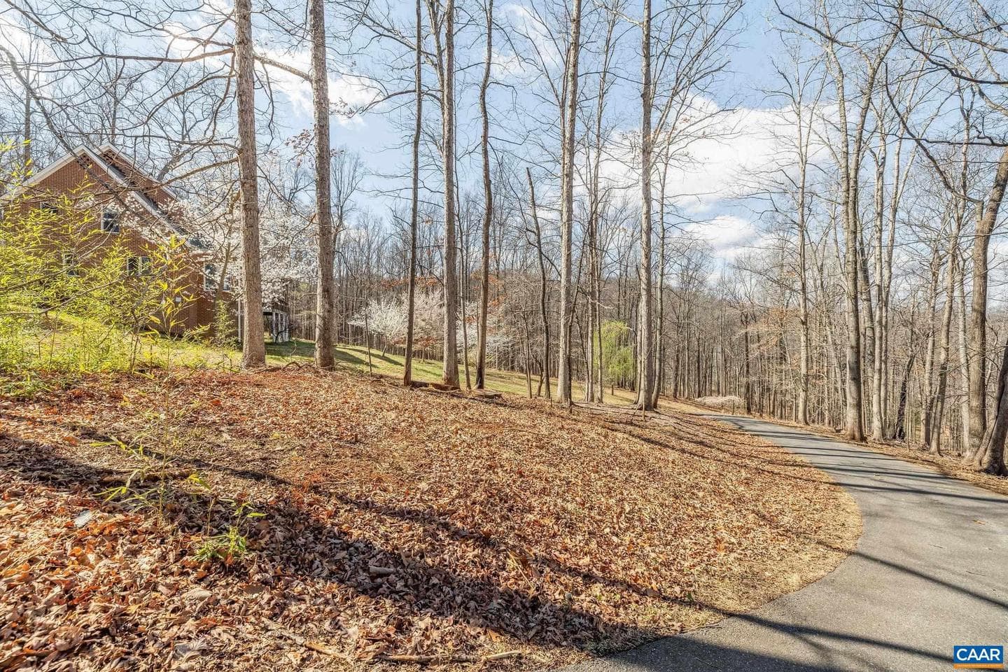 3655 Raleigh Mountain Trl photo 48