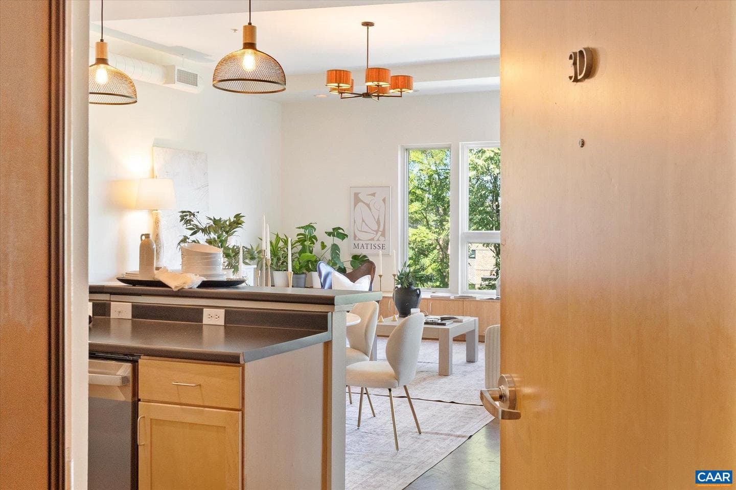 202 Douglas Ave #3d photo 6