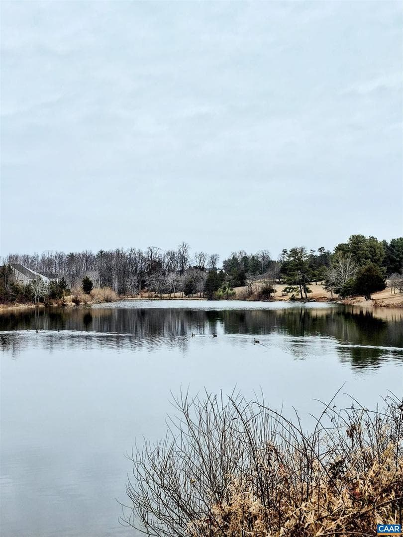 598 Mistland Trl photo 69