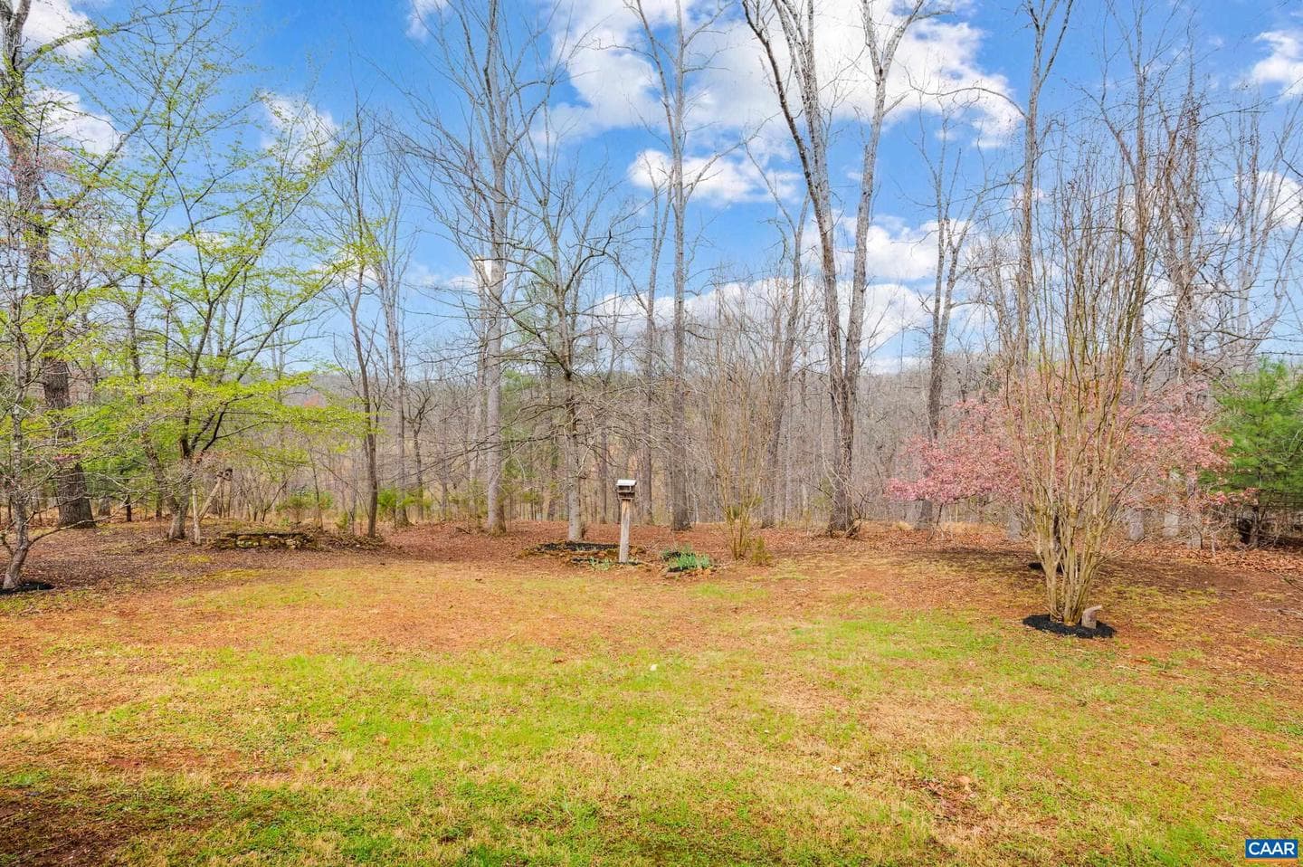 699 Winton Rd photo 40