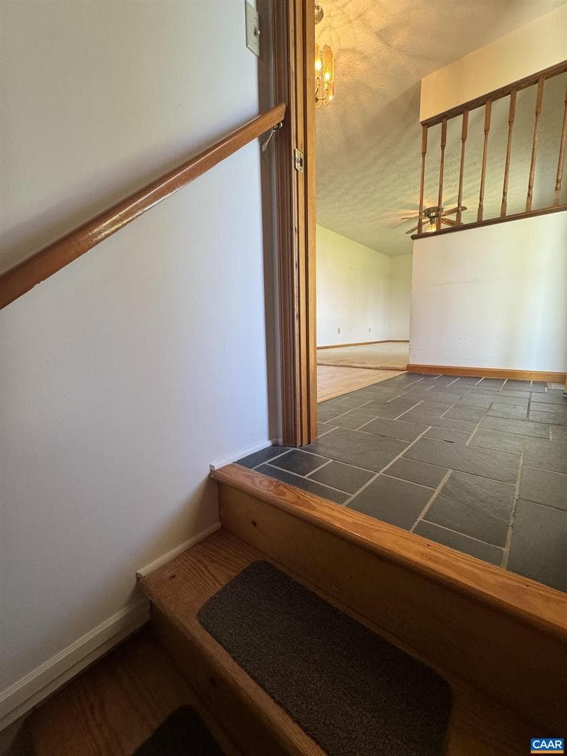 224 Saint James Rd photo 62