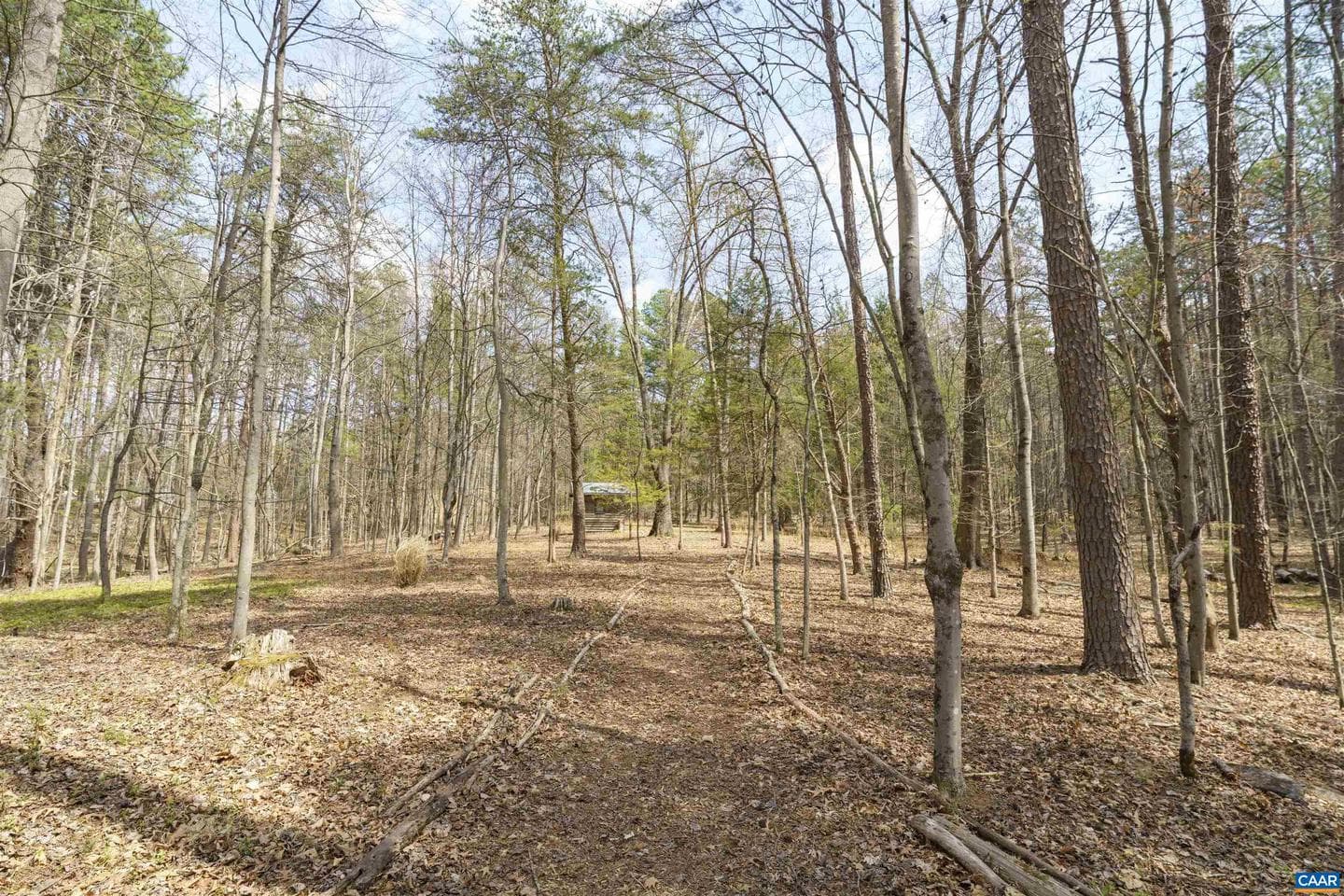 5695 Free Union Rd photo 52