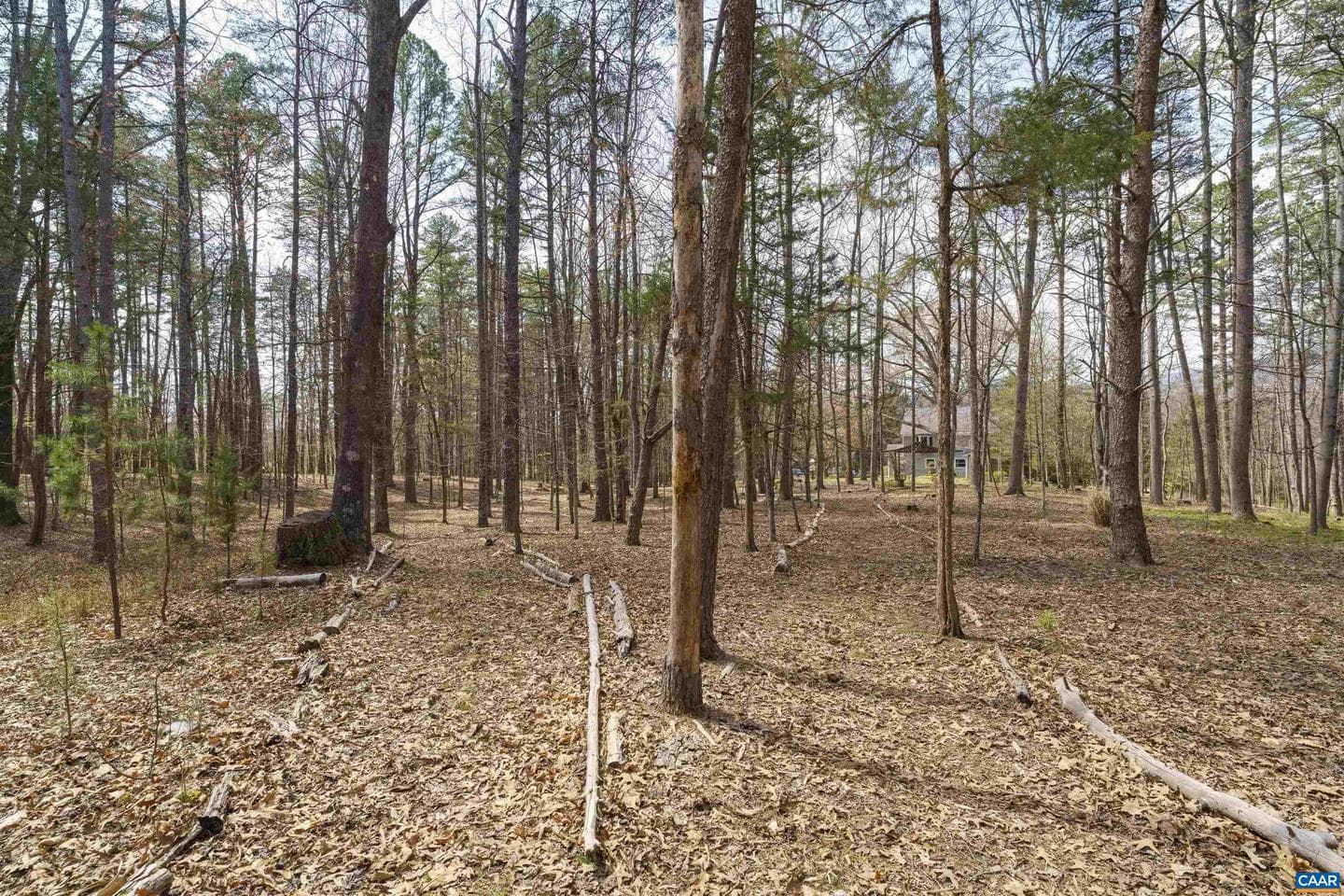 5695 Free Union Rd photo 66