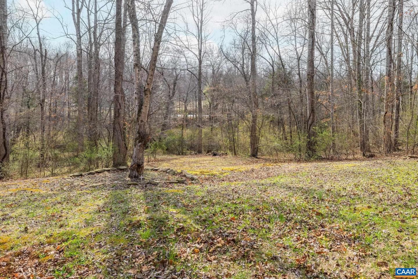 462 Fox Hunters Ln photo 63
