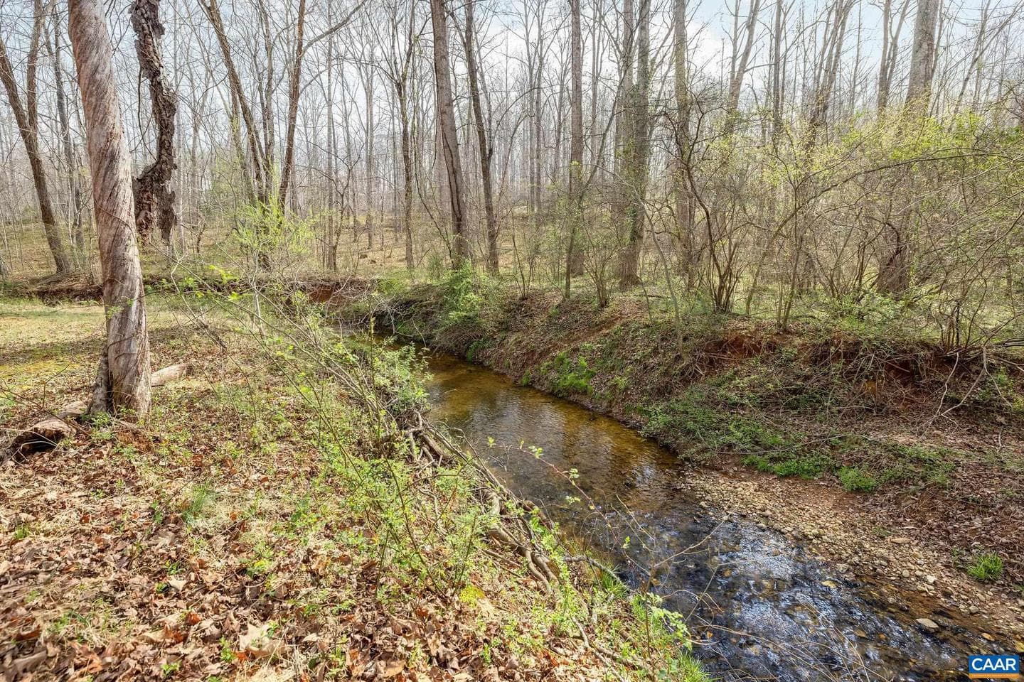 462 Fox Hunters Ln photo 7