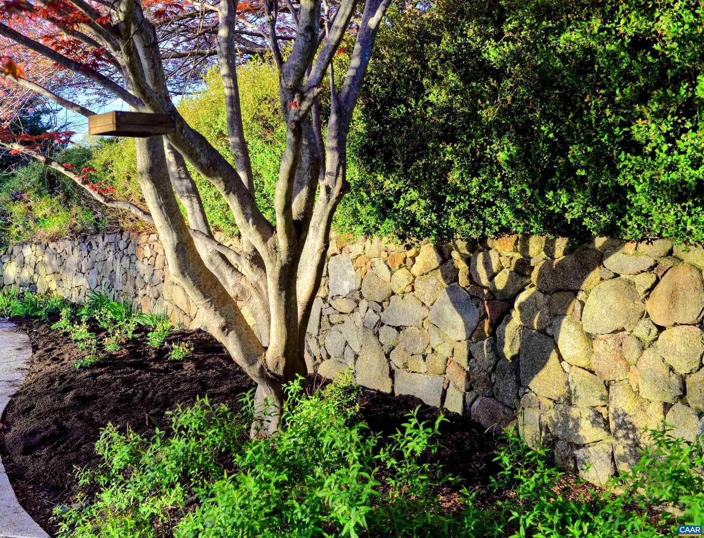 128 Rockfish Orchard Dr photo 20