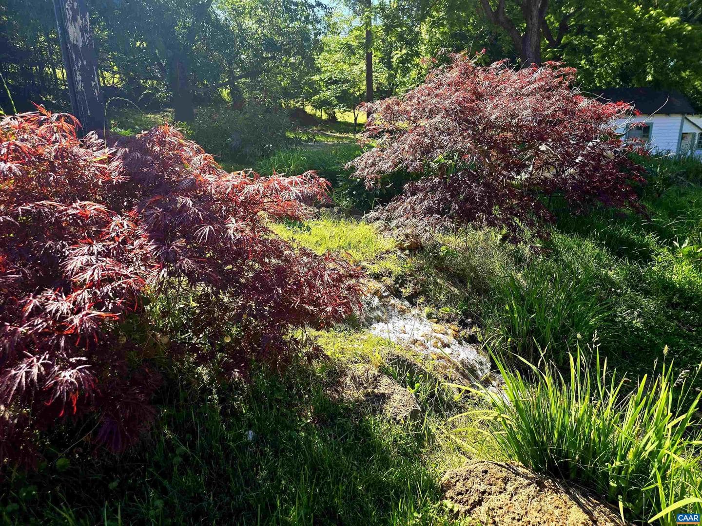 128 Rockfish Orchard Dr photo 23