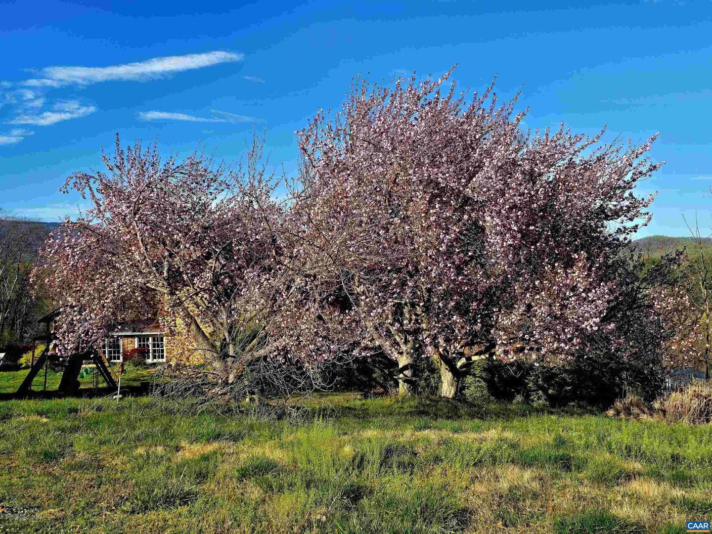 128 Rockfish Orchard Dr photo 32