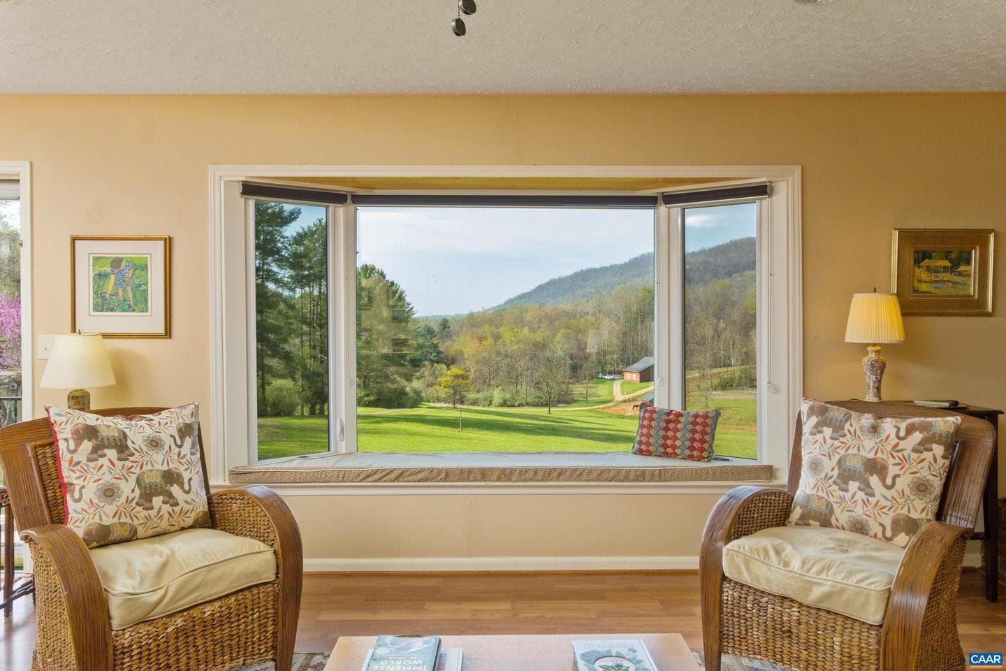 1165 Fortunes Cove Ln photo 20