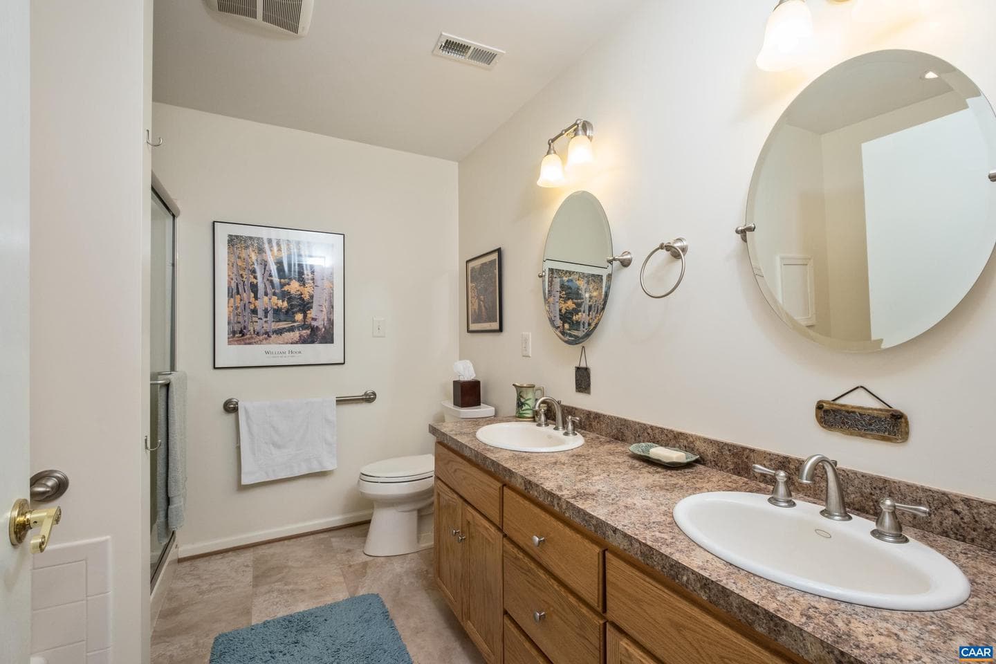 1165 Fortunes Cove Ln photo 29