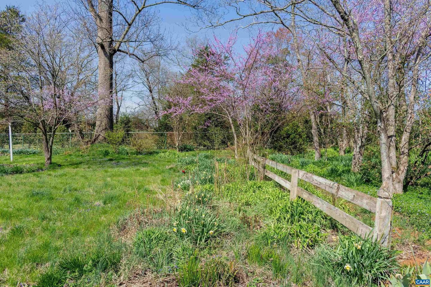 11504 Knolls Rd photo 6