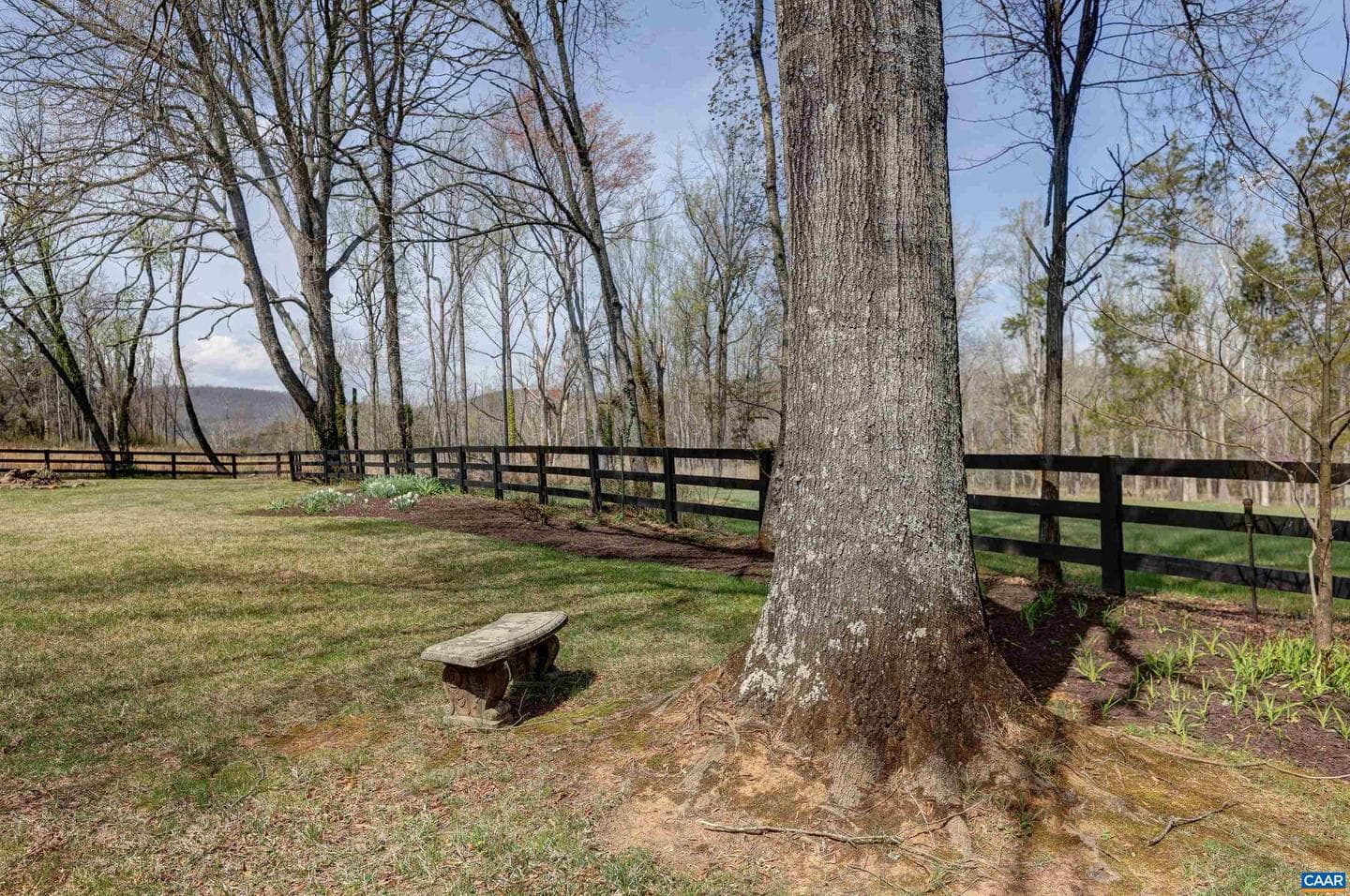 5450 Stony Point Pass photo 65