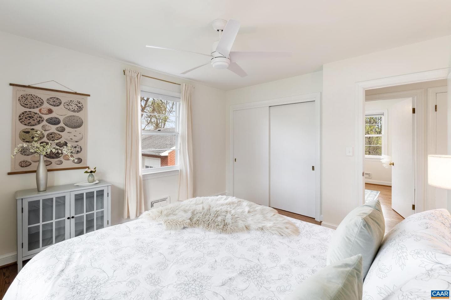 6459 Hillsboro Ln photo 19