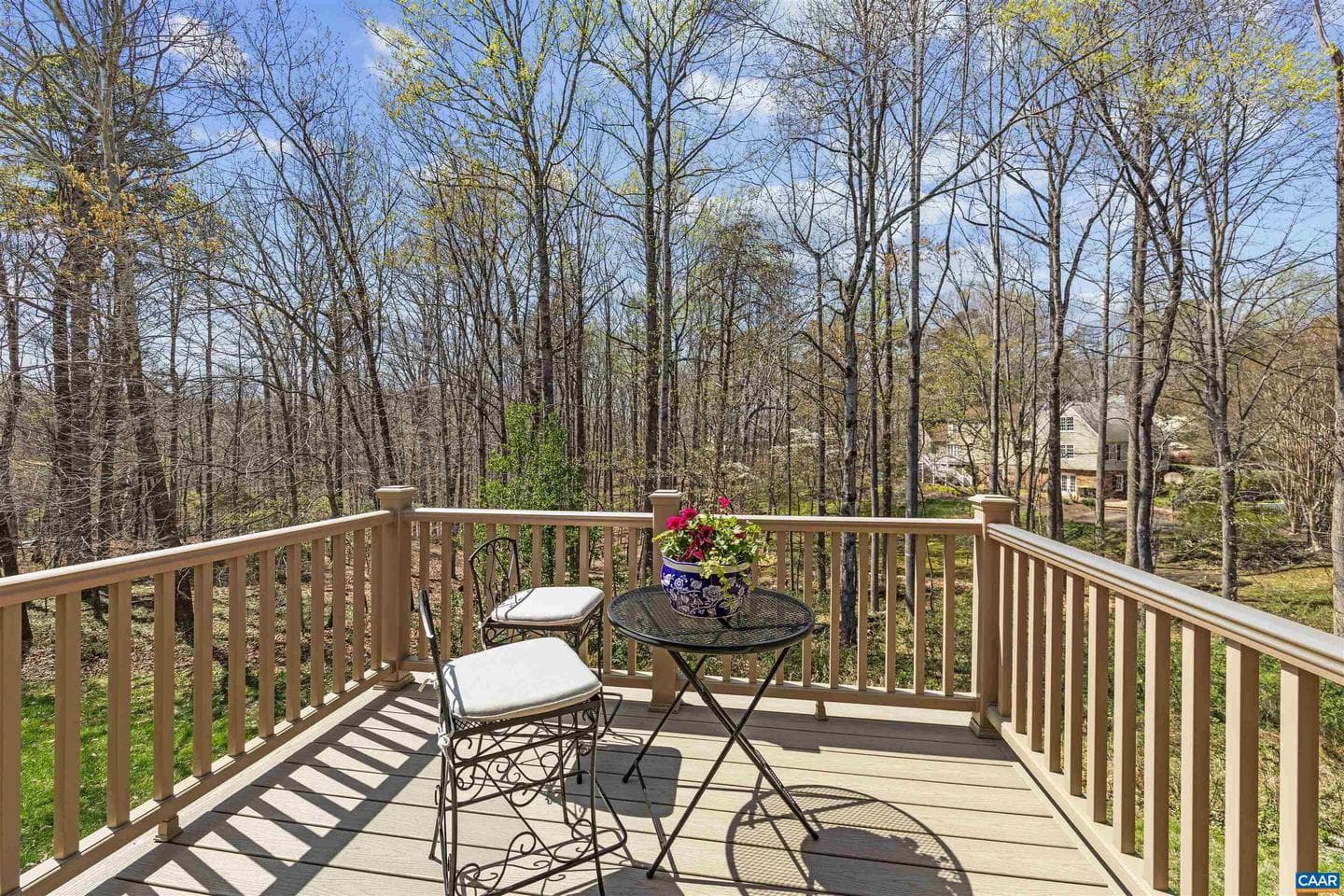 155 Ivy Ridge Rd photo 24