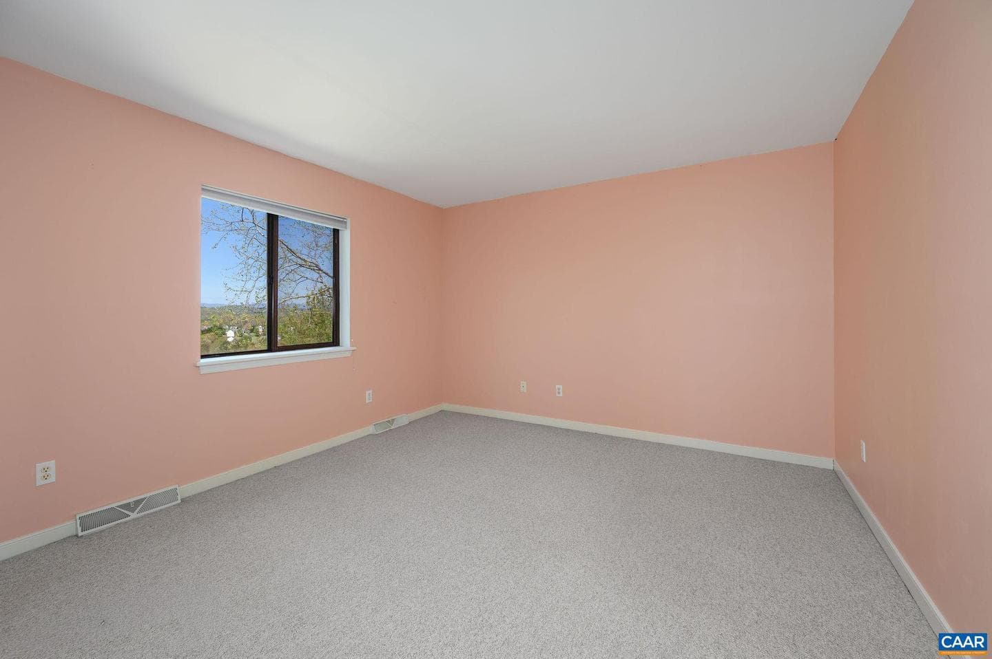 1294 Millpond Rd photo 22