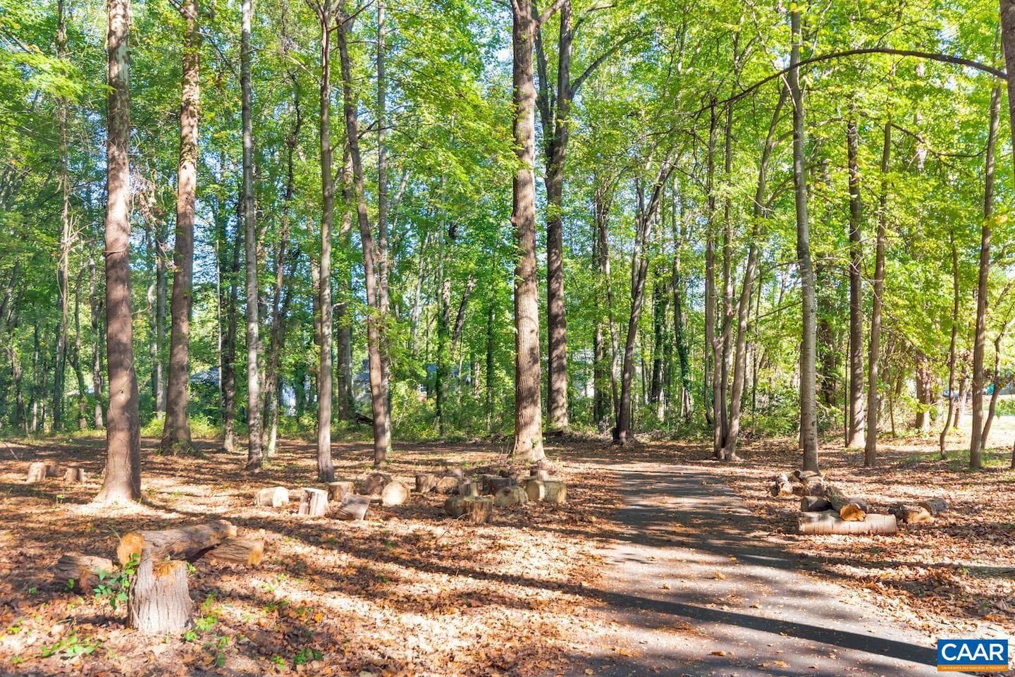 110 Turtle Creek Rd #6 photo 54