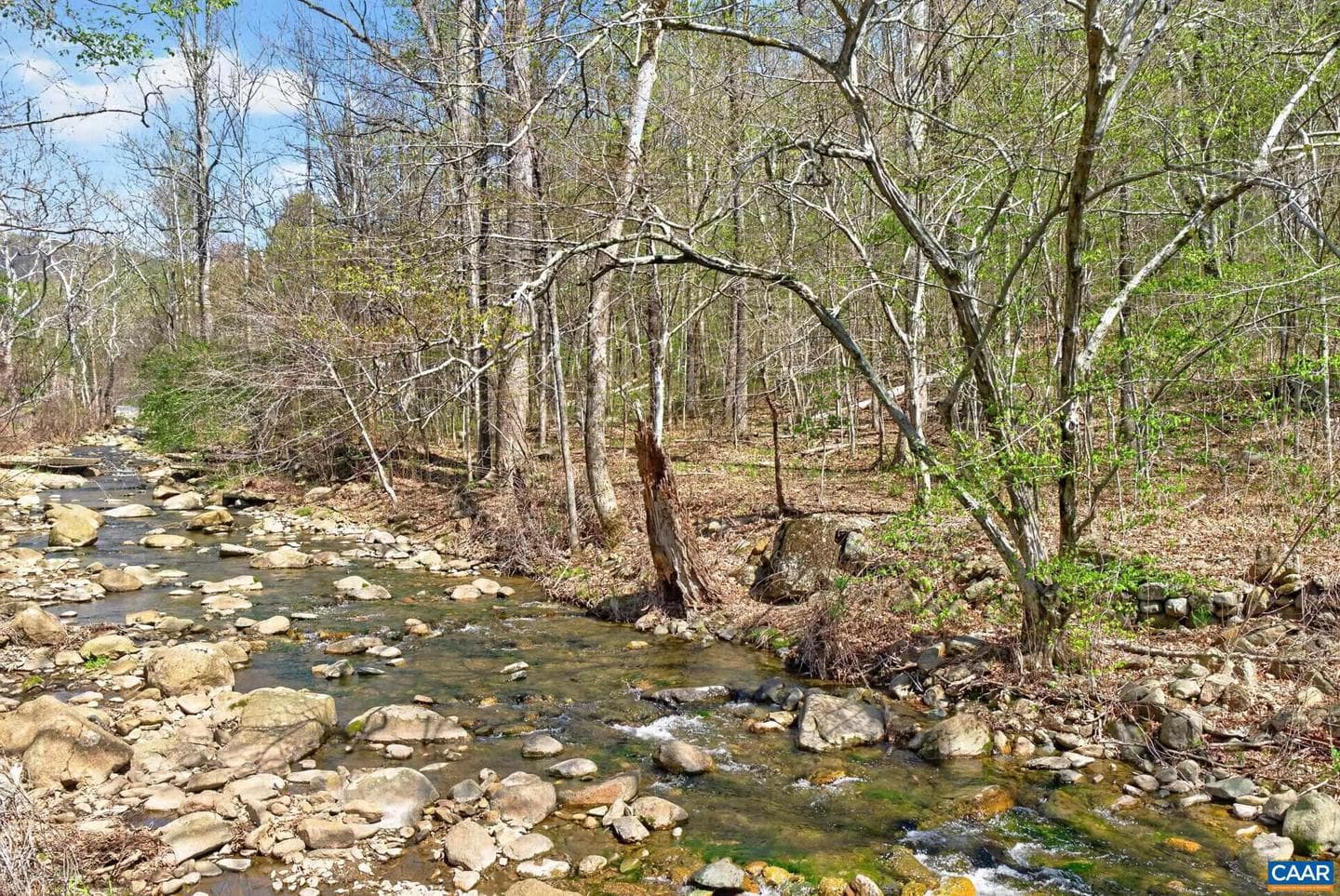 689 Mutton Hollow Rd photo 29