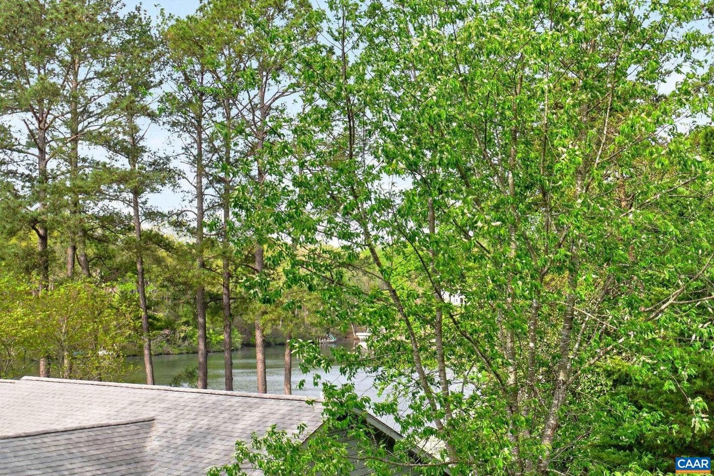 5 Campbell Ct photo 28