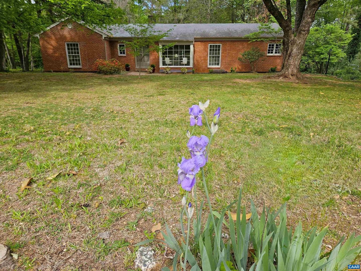 3271 Rosney Rd photo 2