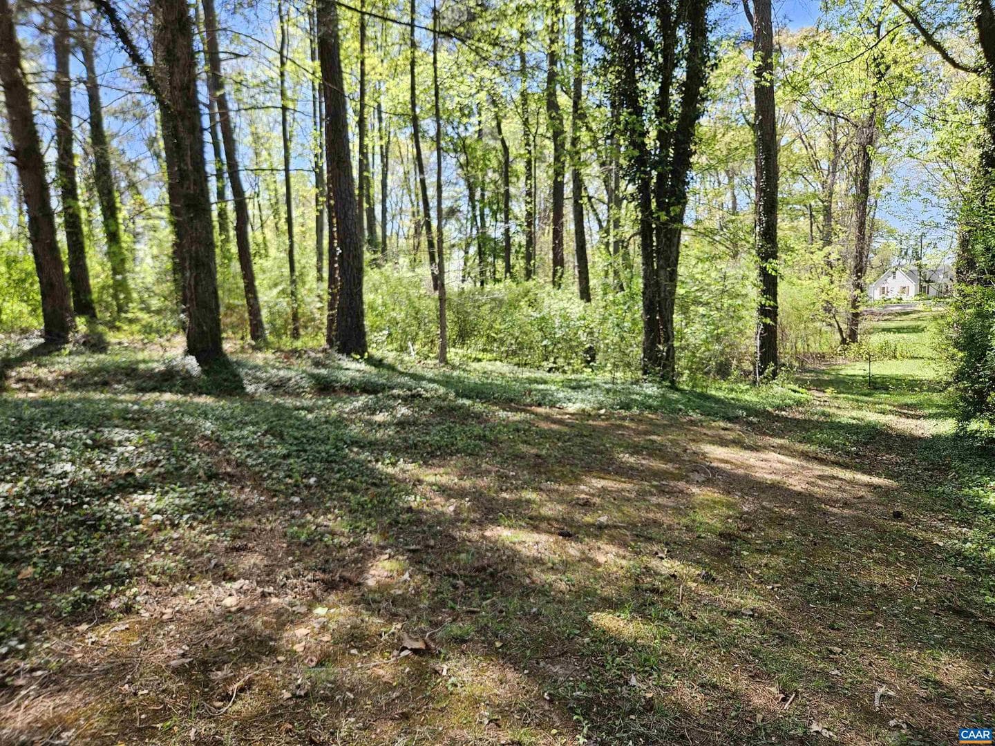 3271 Rosney Rd photo 45