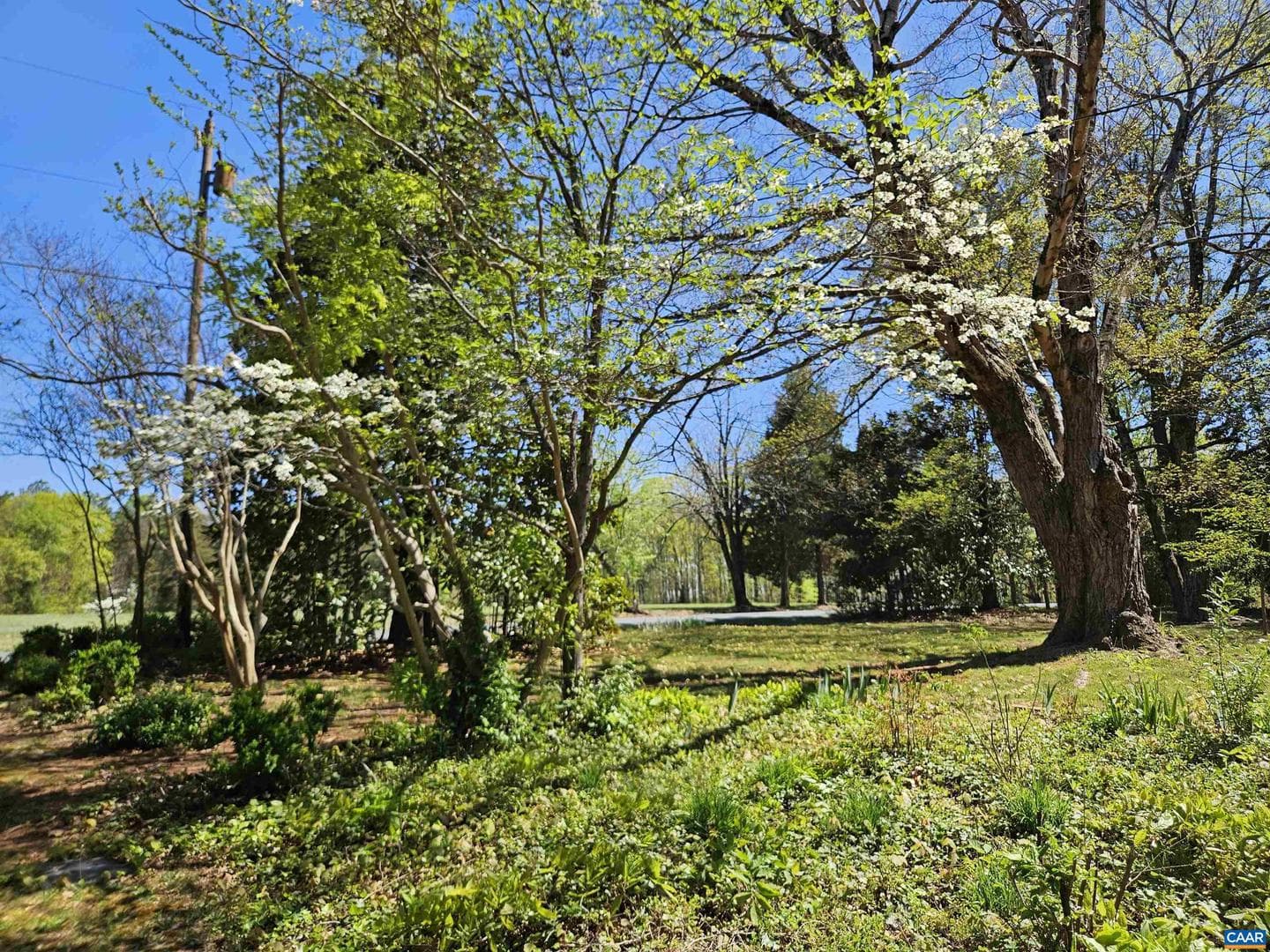 3271 Rosney Rd photo 46