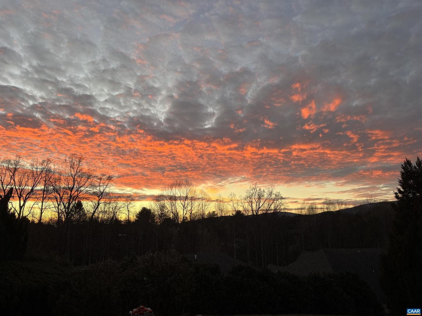 1338 Gate Post Ln photo 2