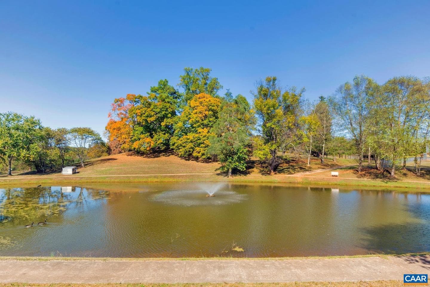 2527 Avemore Pond Rd photo 43