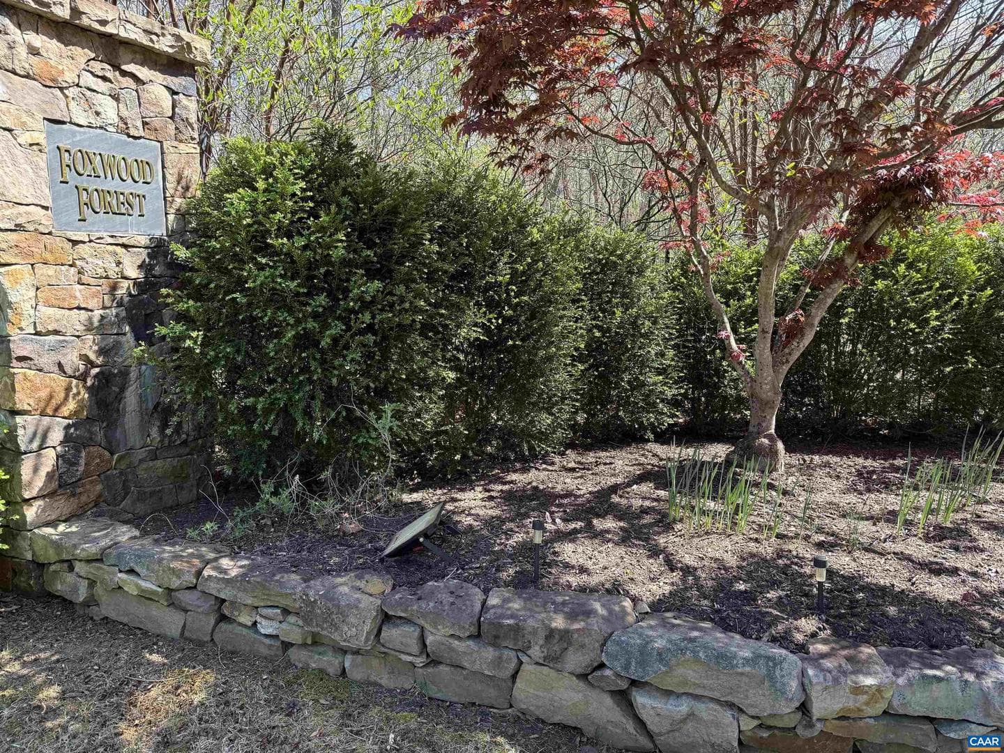 4225 Woodthrush Ln photo 60