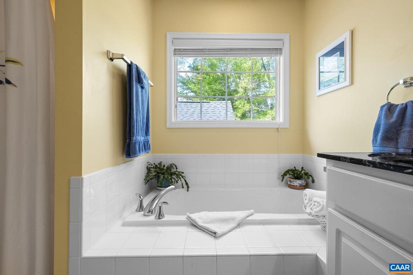 163 Saint Andrews St photo 31