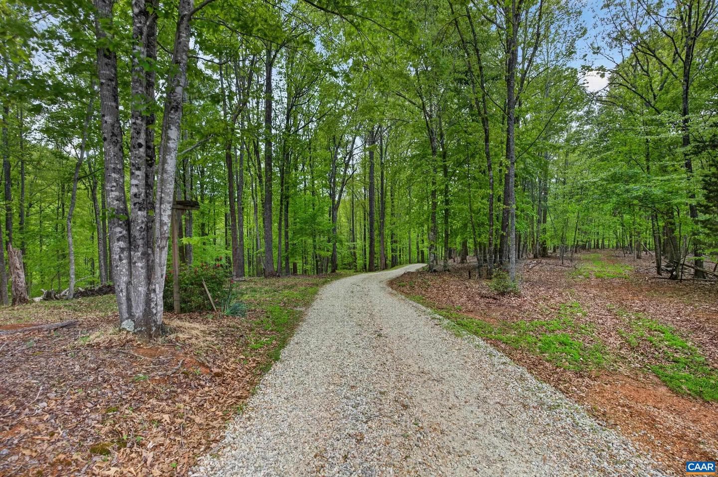 141 Cradon Hill Ln photo 44