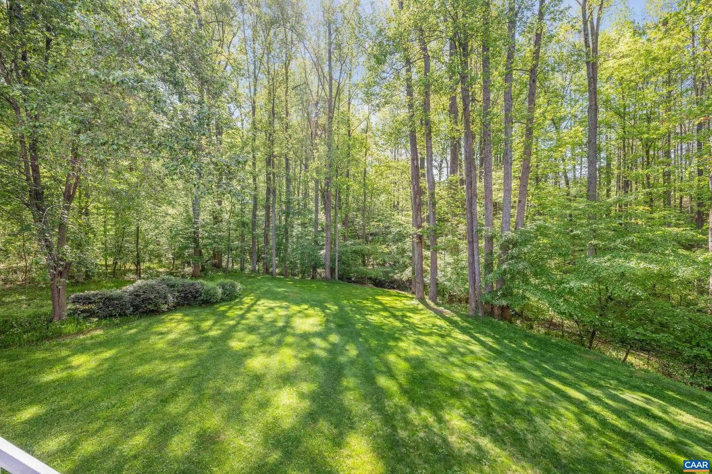 204 W Rosewood Dr photo 5
