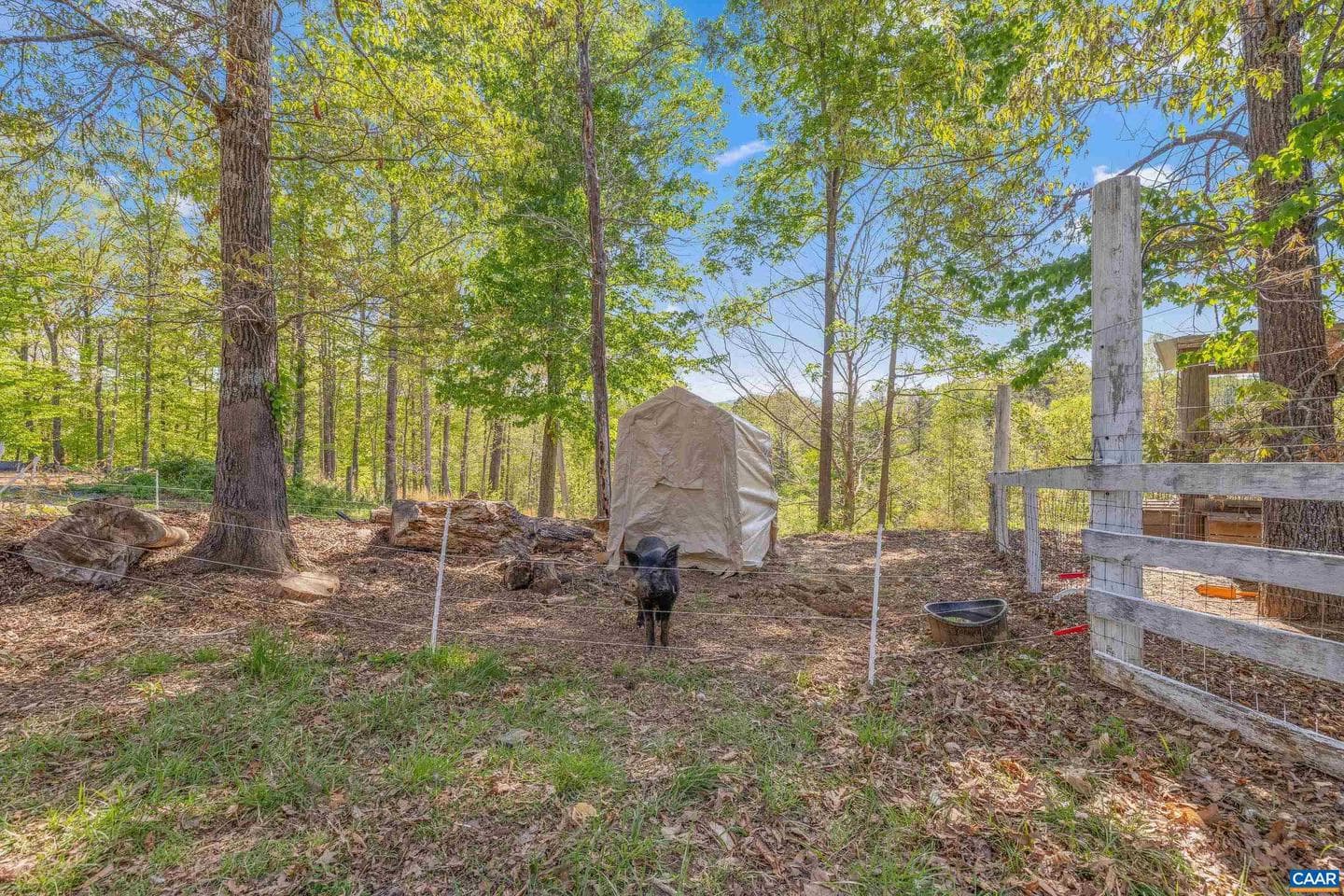 2947 Merrie Meadows Ln photo 20