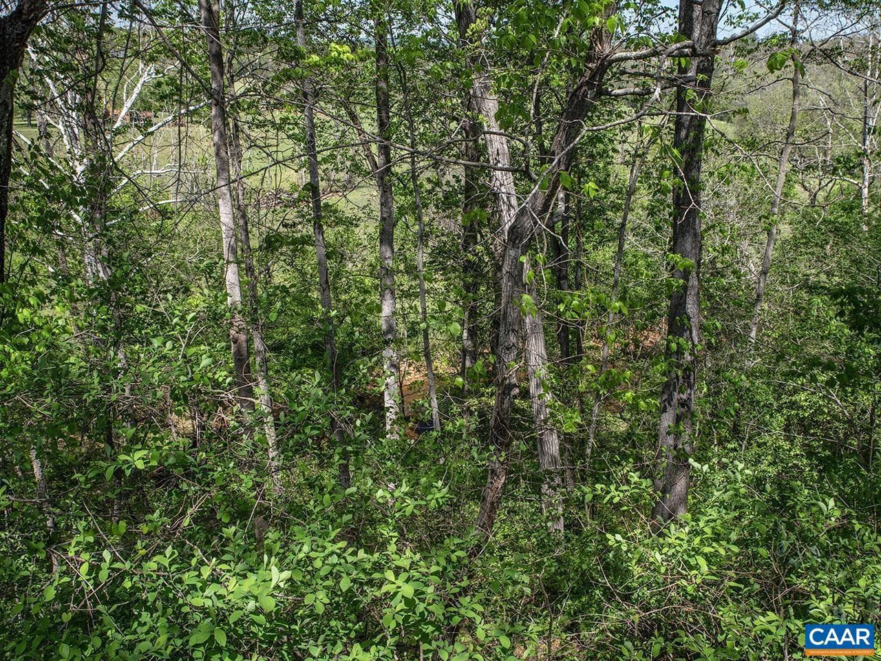 4177 Rolling Rd photo 31