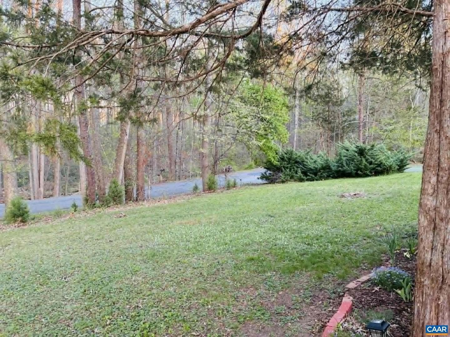 3735 Dogwood Dr photo 26