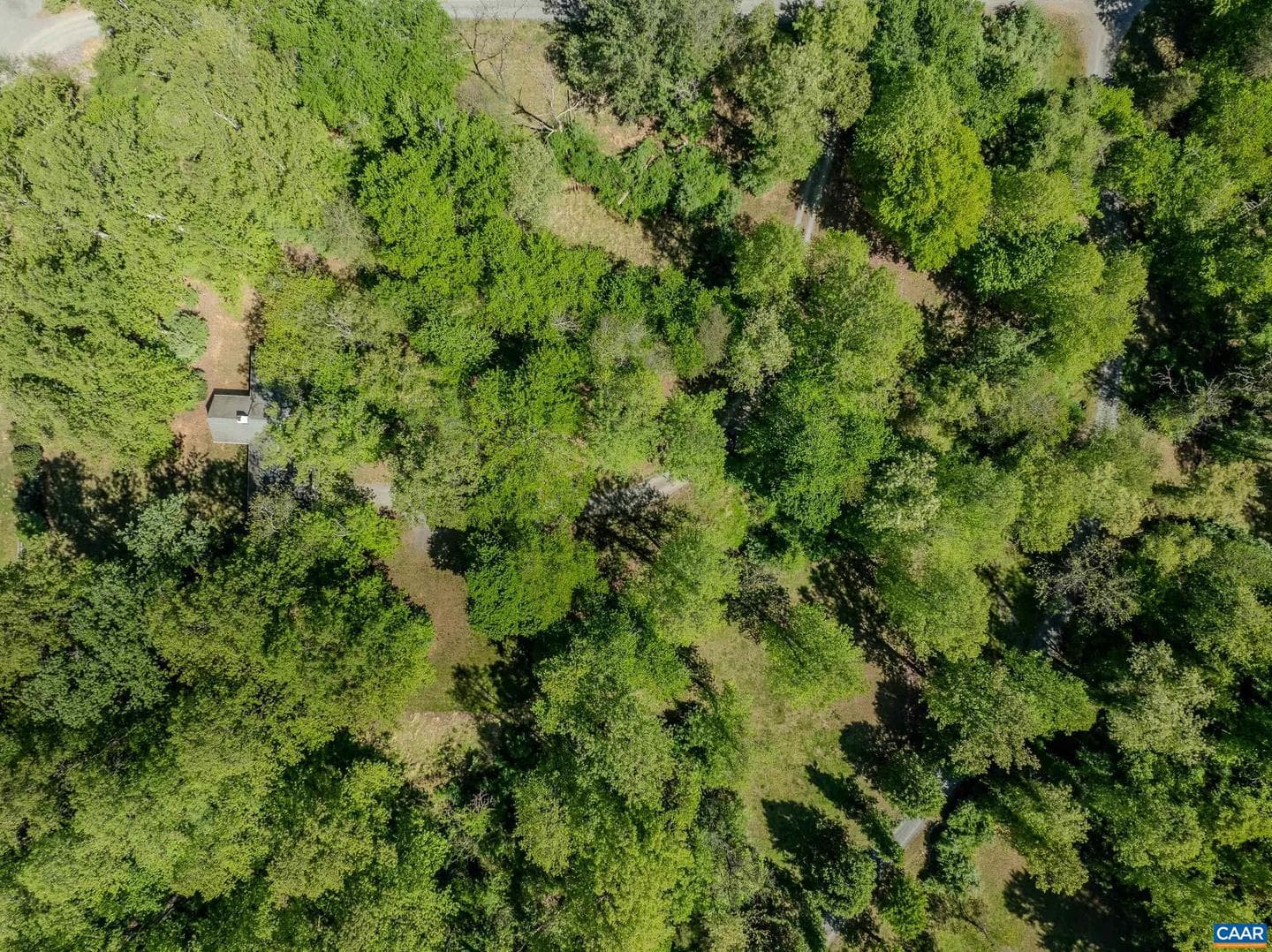 180 Lynx Farm Ln photo 56