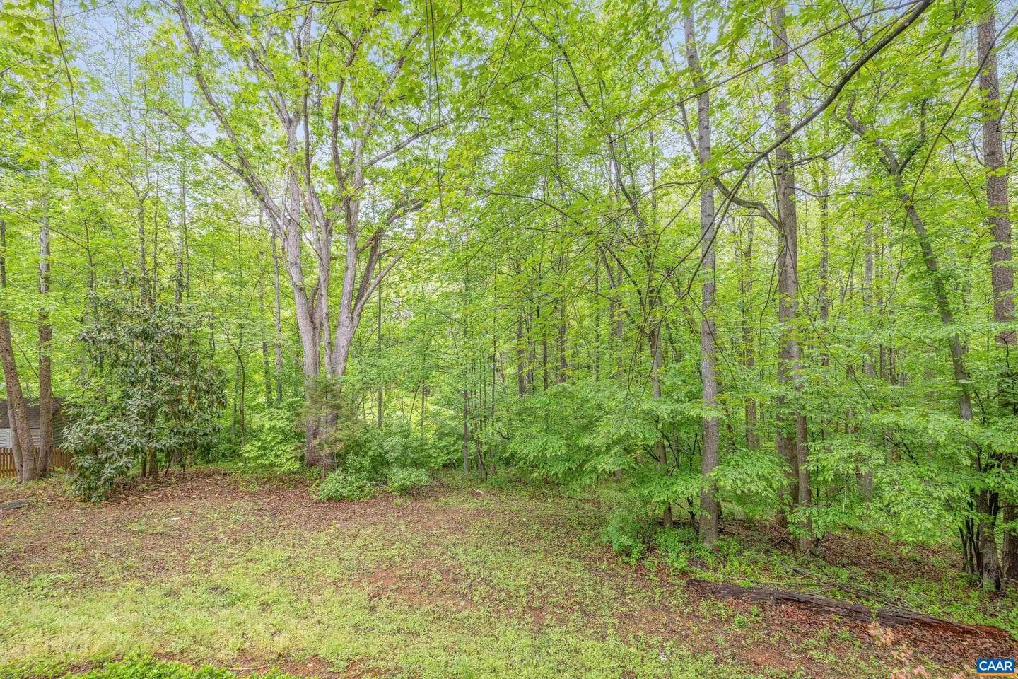 1621 Shady Grove Ct photo 42