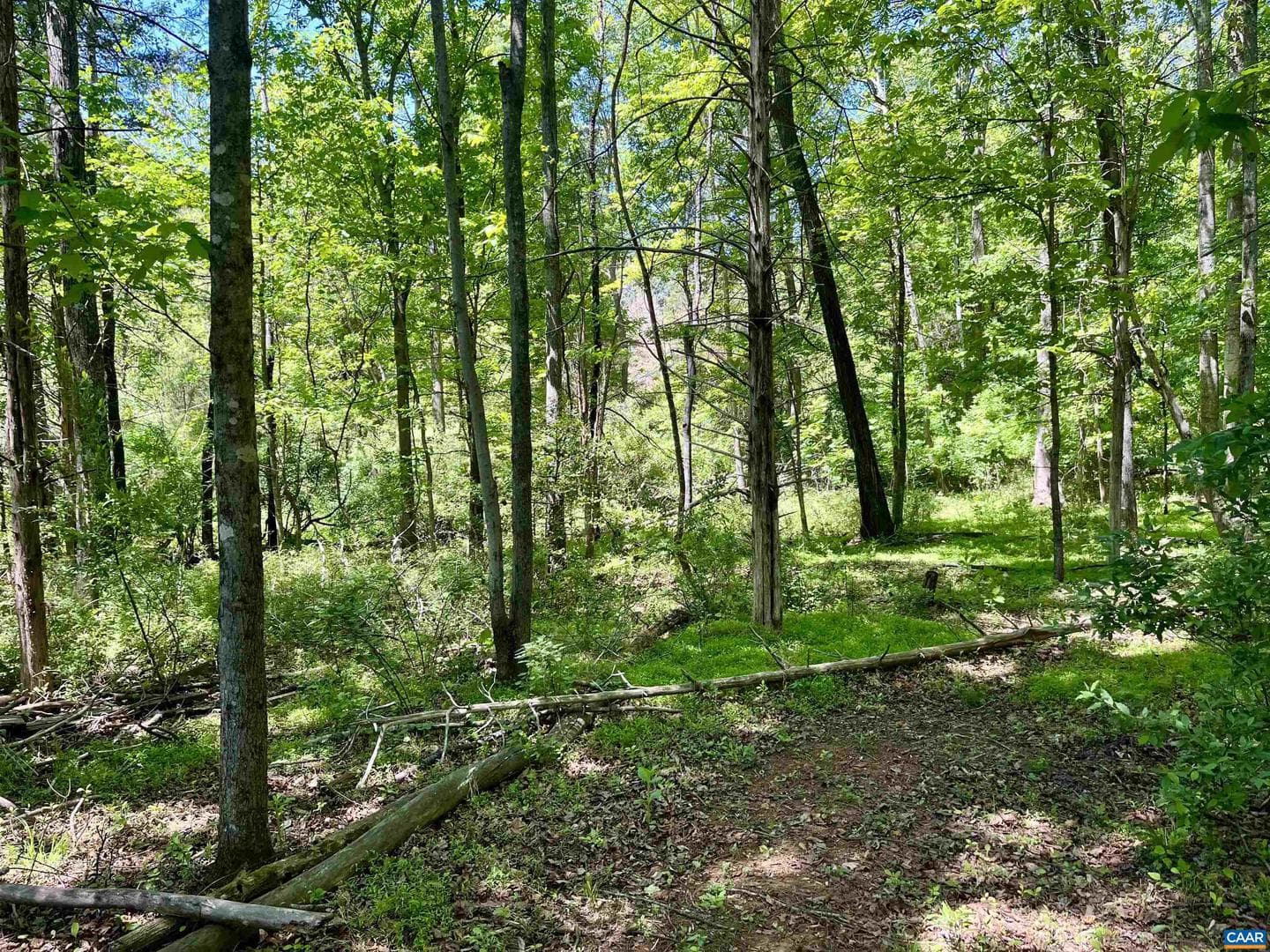 1300 West Leigh Dr photo 67