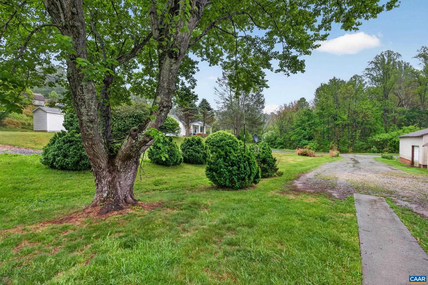 146 Anderson Ln photo 54
