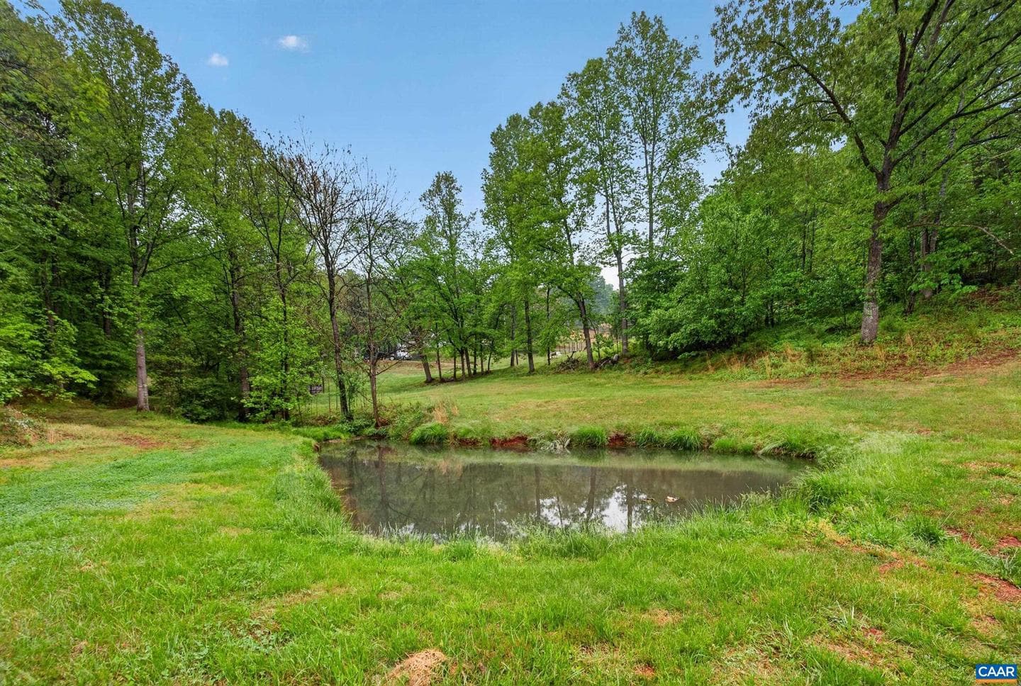 146 Anderson Ln photo 64