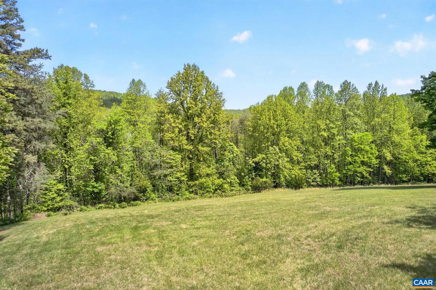5407 Turkey Sag Rd photo 49
