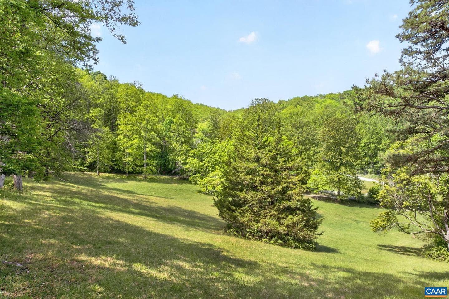 5407 Turkey Sag Rd photo 50
