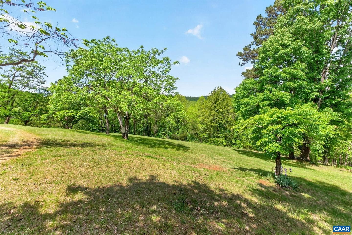 5407 Turkey Sag Rd photo 62