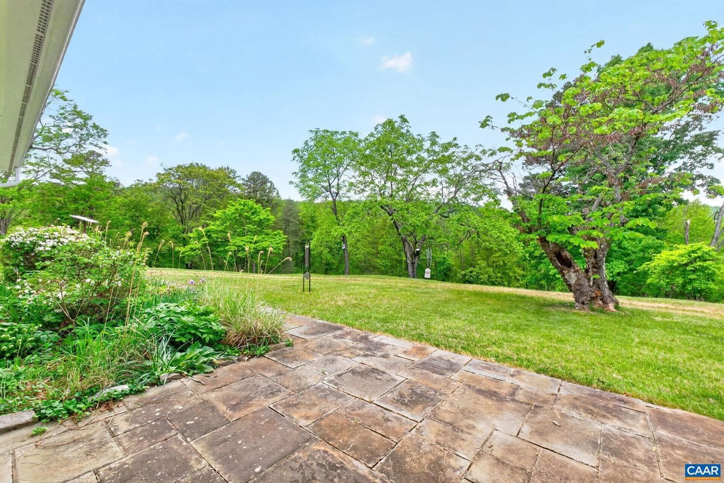 5407 Turkey Sag Rd photo 67