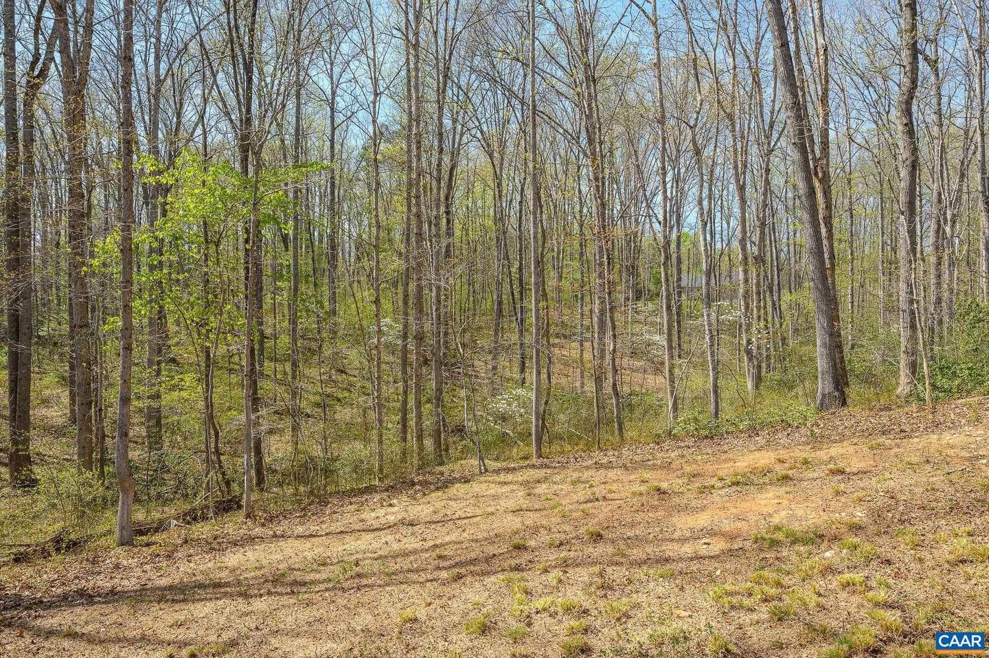 266 Swift Run Rd photo 15