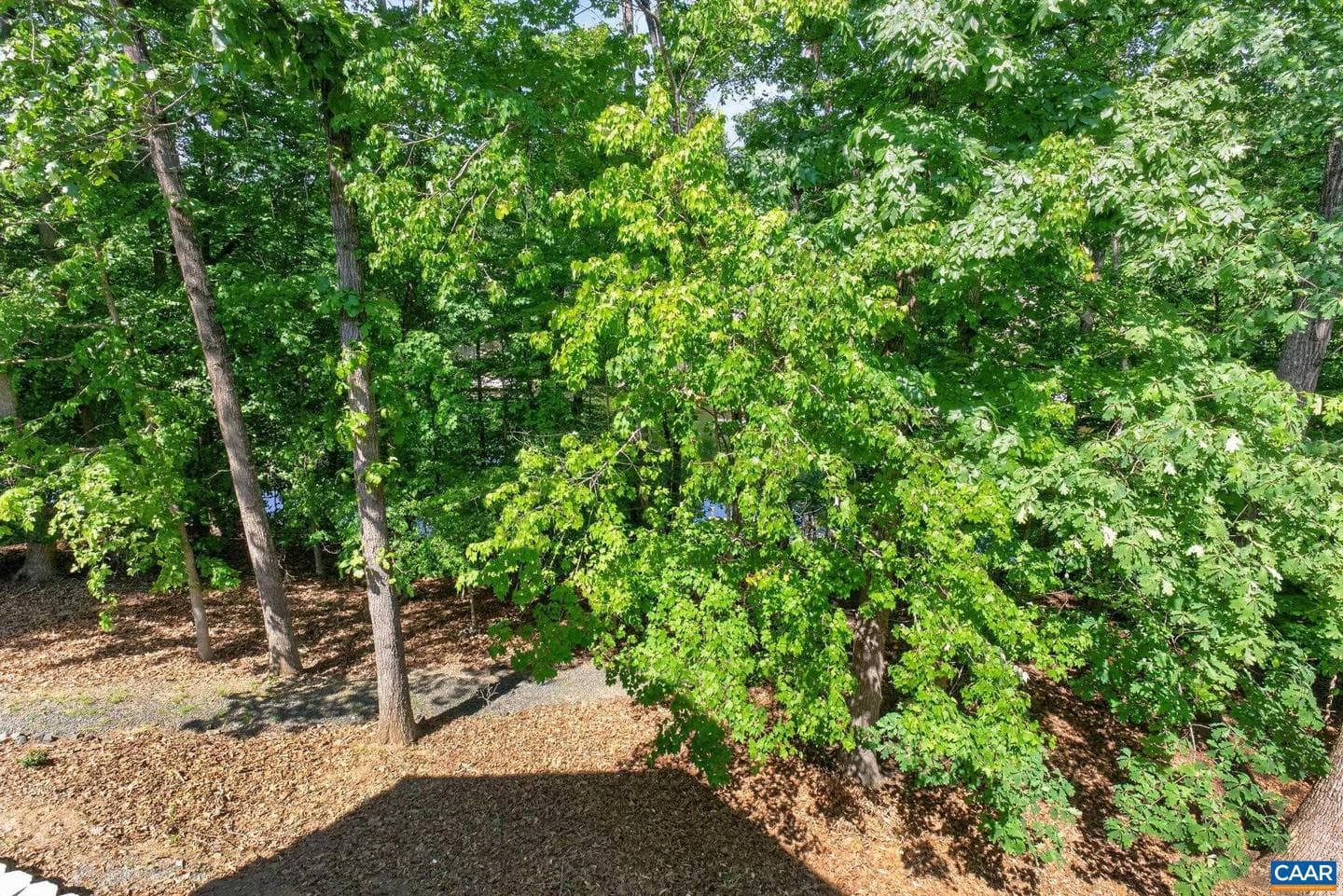 13 Condor Rd photo 48