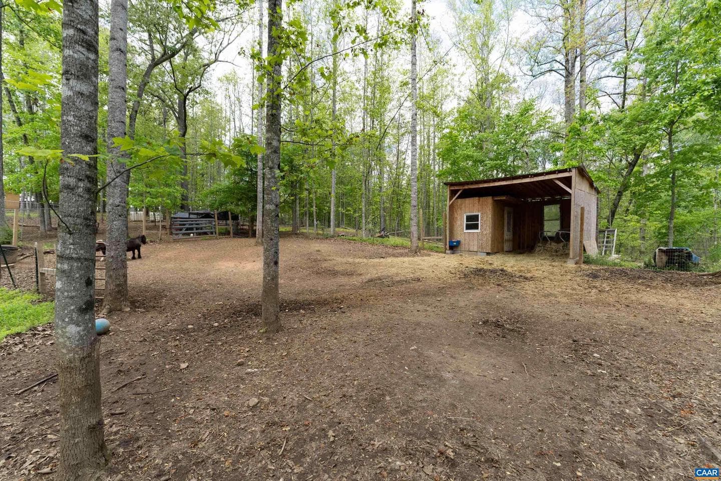 2441 Tisdale Rd photo 30